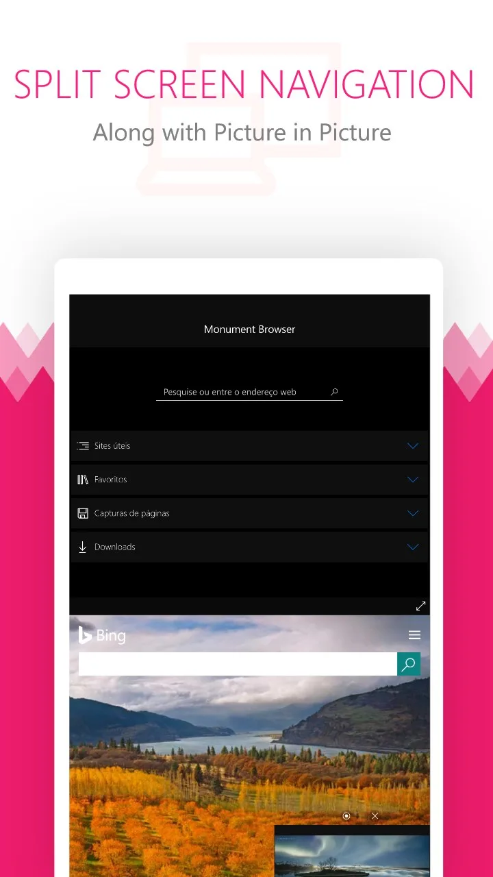 Orions Browser screenshot 5