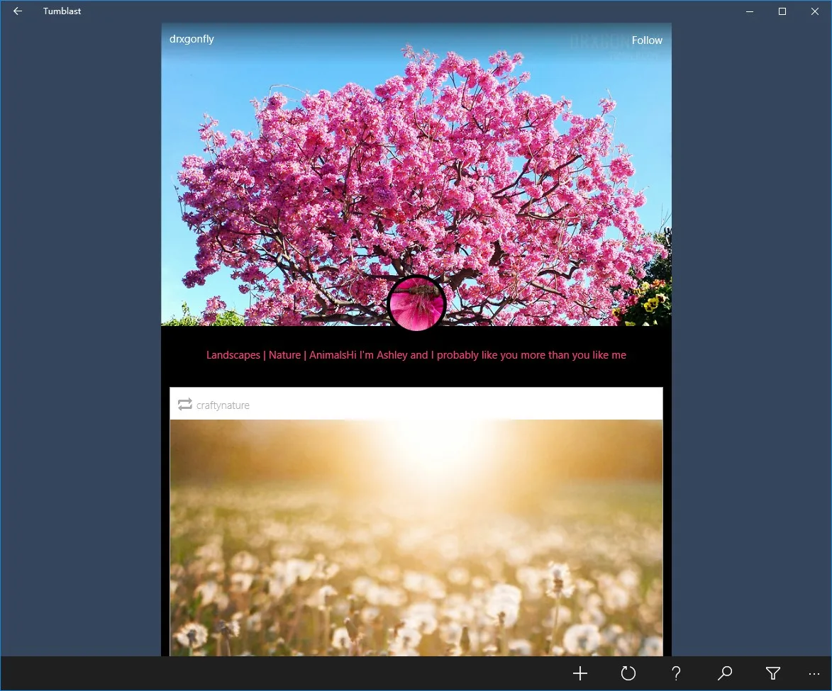 Tumblast screenshot 3