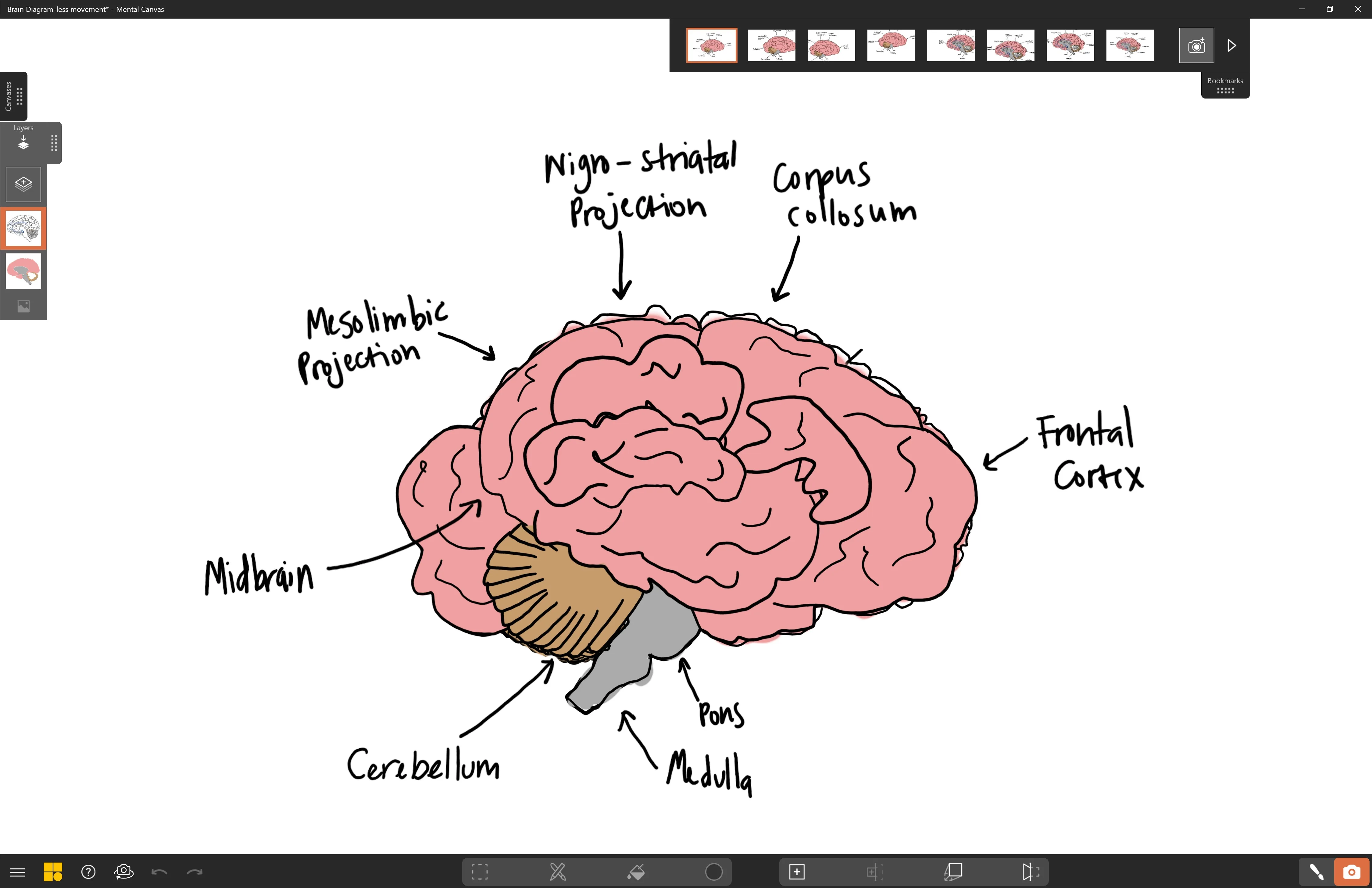 Mental Canvas Draw screenshot 4