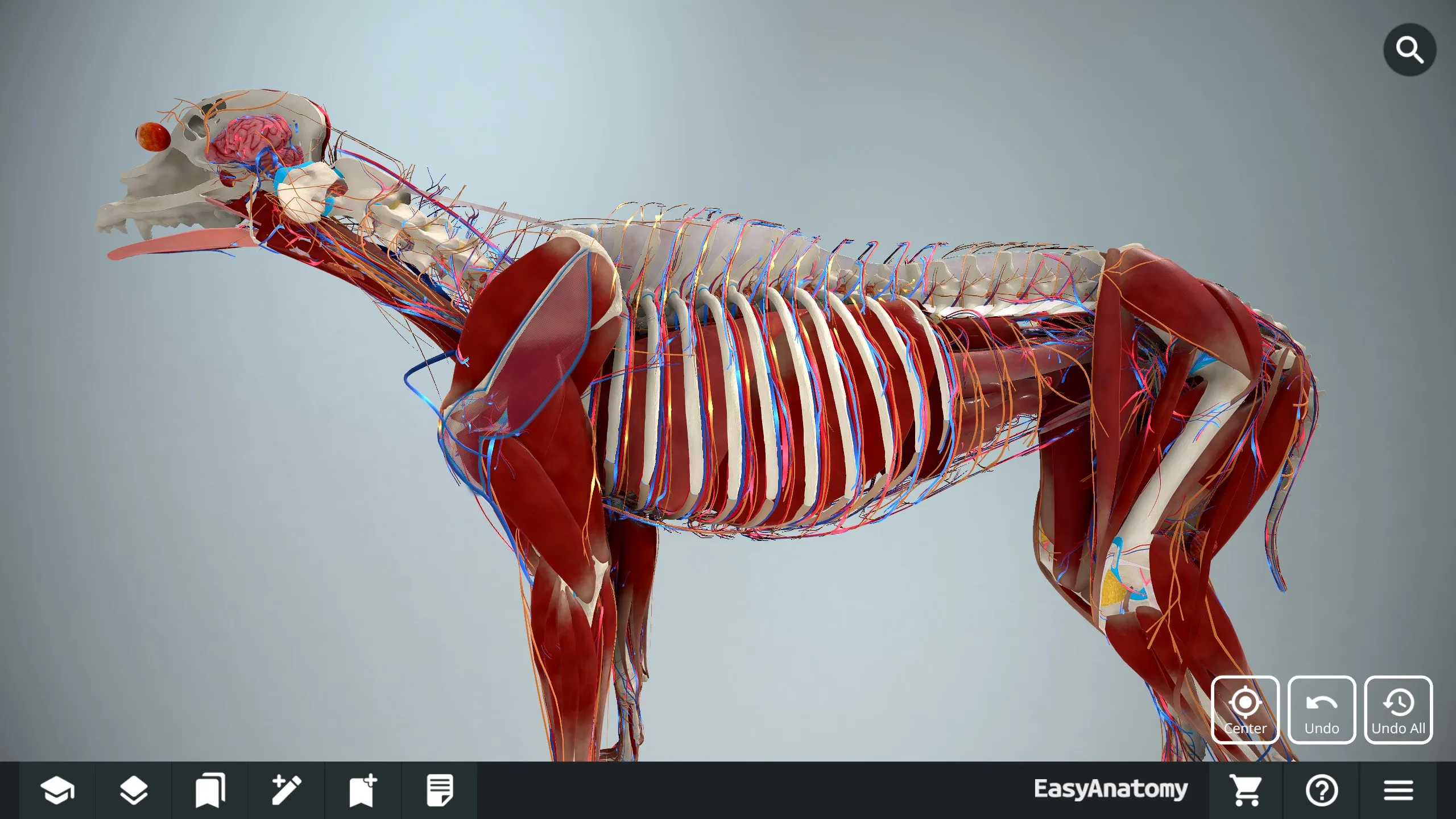 EasyAnatomy - 3D Canine Anatomy screenshot 2