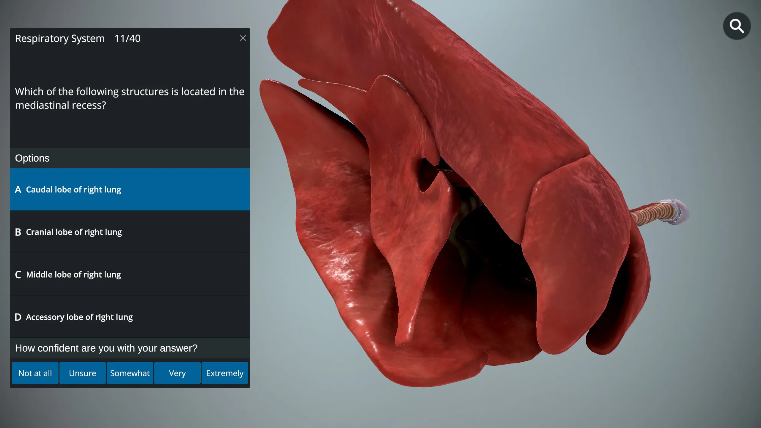 EasyAnatomy - 3D Canine Anatomy screenshot 5