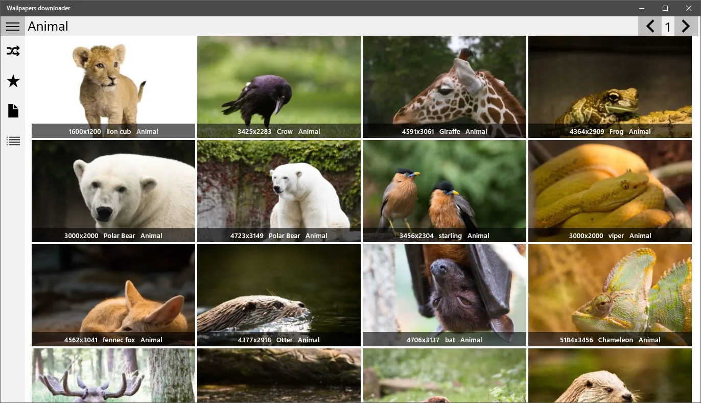 Wallpapers downloader screenshot 5