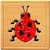 Kids Insect Jigsaw Puzzle and Memory Games