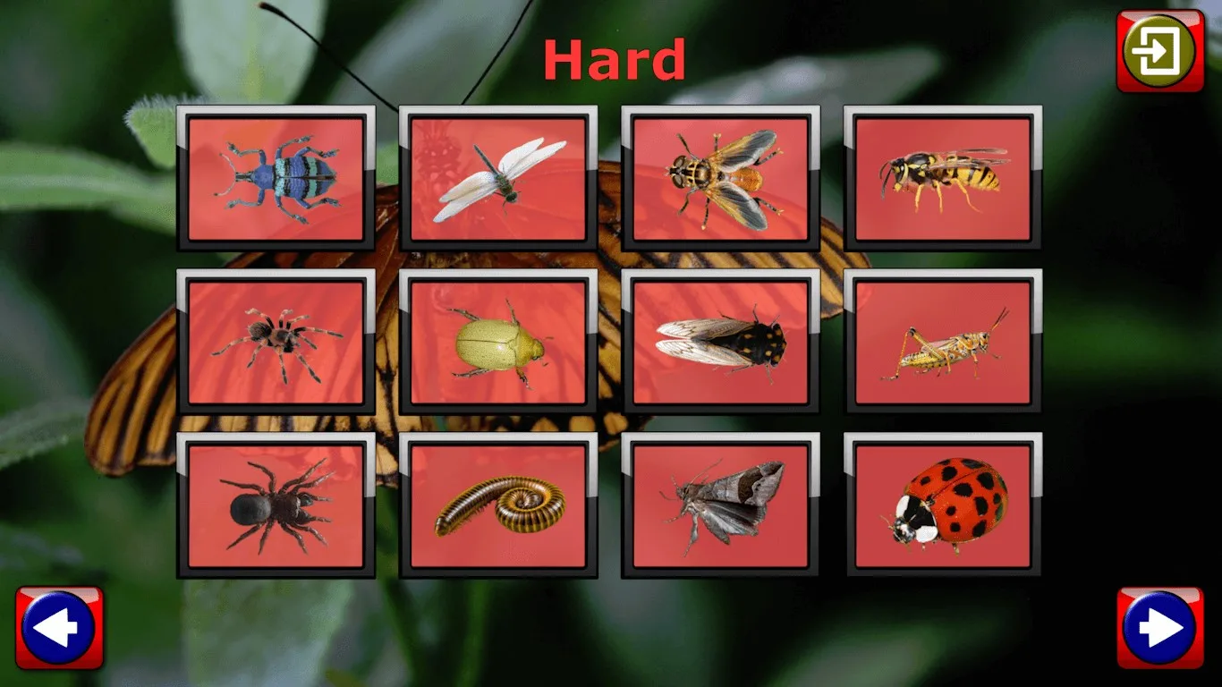 Kids Insect Jigsaw Puzzle and Memory Games screenshot 1
