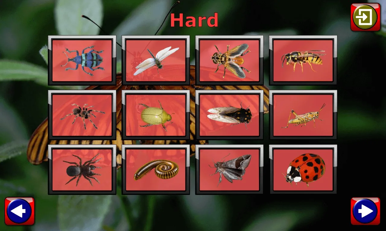 Kids Insect Jigsaw Puzzle and Memory Games screenshot 2
