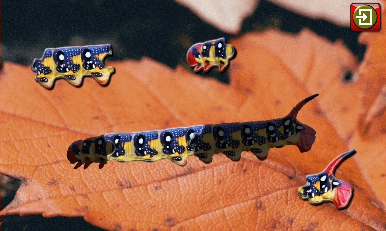 Kids Insect Jigsaw Puzzle and Memory Games screenshot 3