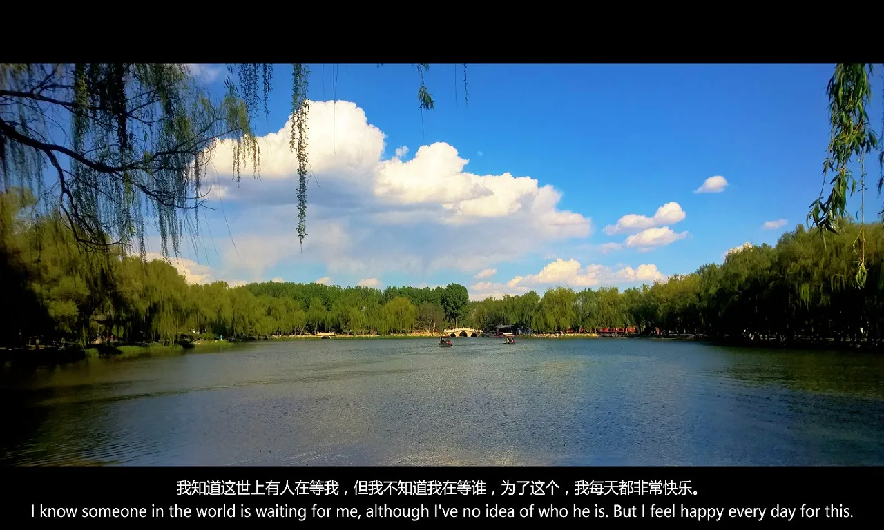 照片变 screenshot 4
