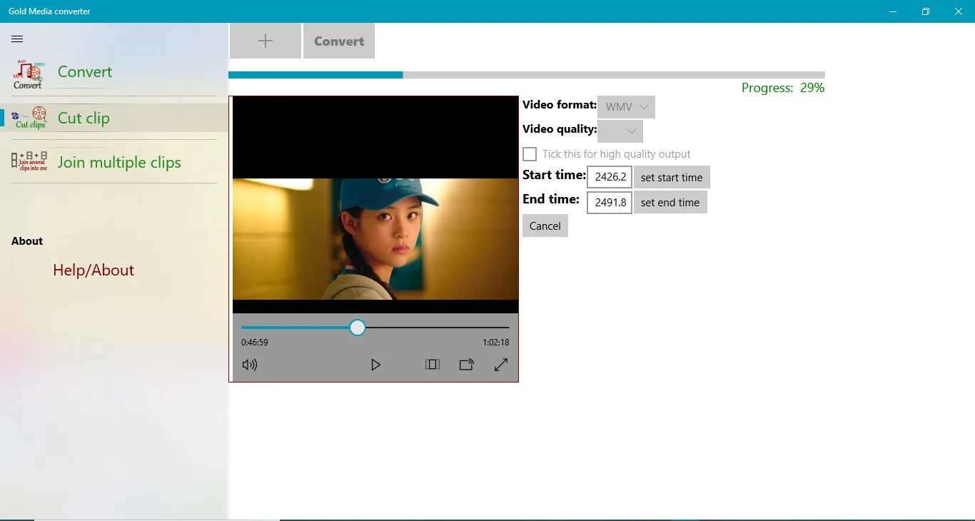 Gold Media converter screenshot 2