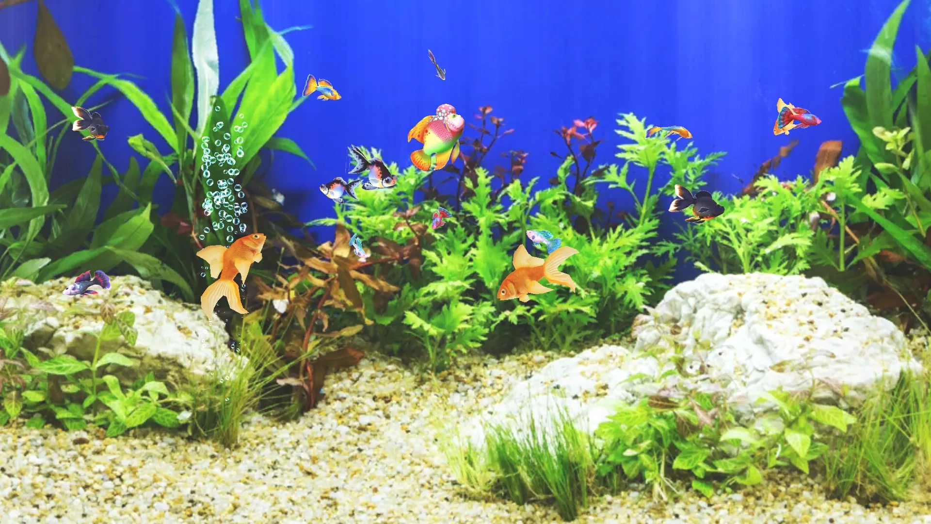 Aquarium Sim screenshot 1