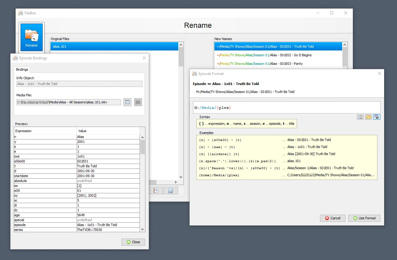 FileBot screenshot 3