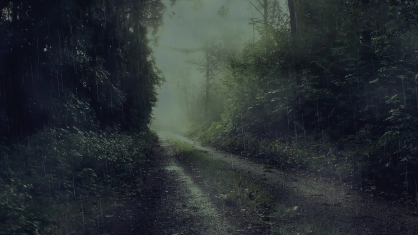 Rain view Free screenshot 5