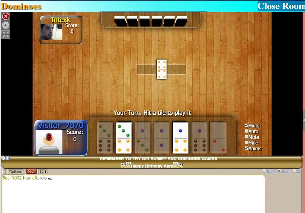 Dominoes Nidink screenshot 3