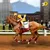 Horse Racing League Pro 2016 - Riding Simulator