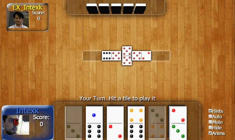 Nidink Games screenshot 5