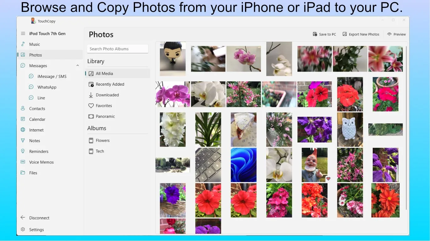 TouchCopy screenshot 1