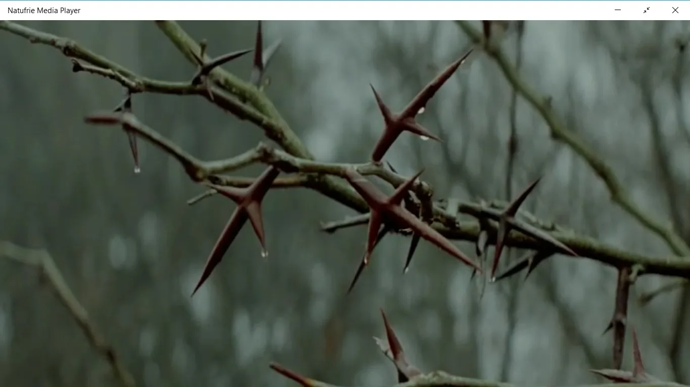 Natufrie Media Player screenshot 1
