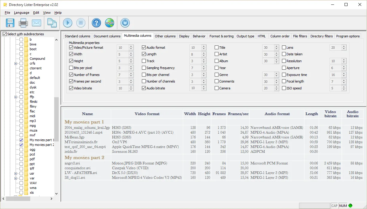 Directory Lister screenshot 1