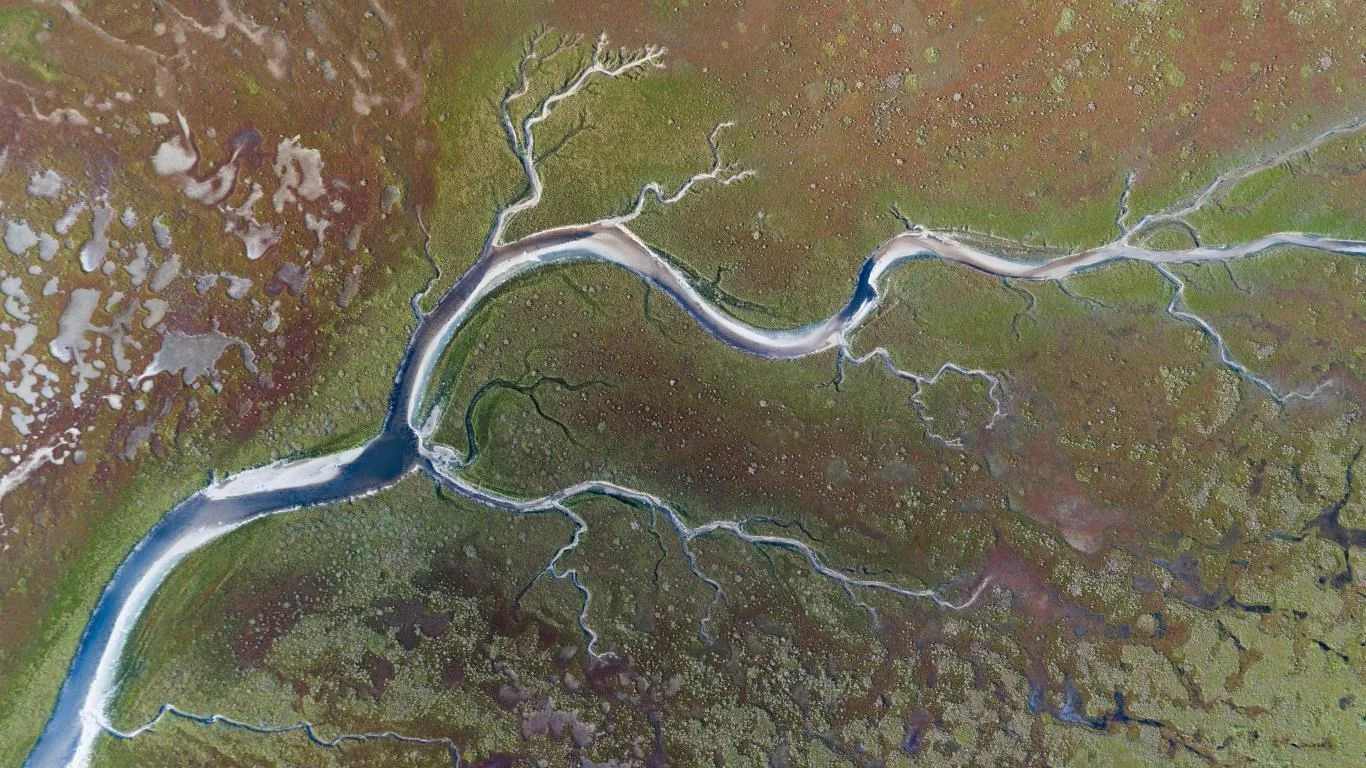 River Delta screenshot 2
