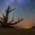 Bing Fan Favorites - Landscapes