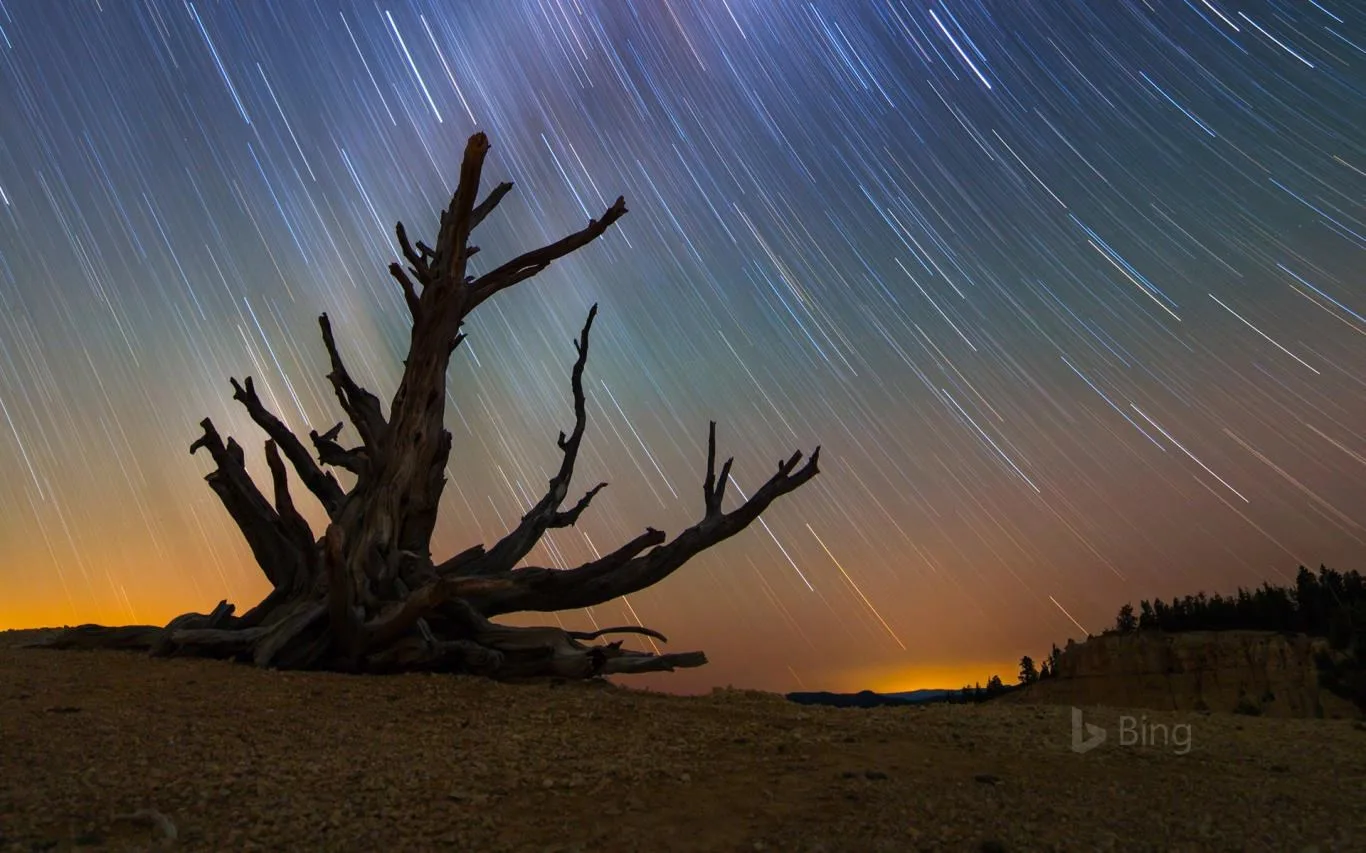Bing Fan Favorites - Landscapes screenshot 1