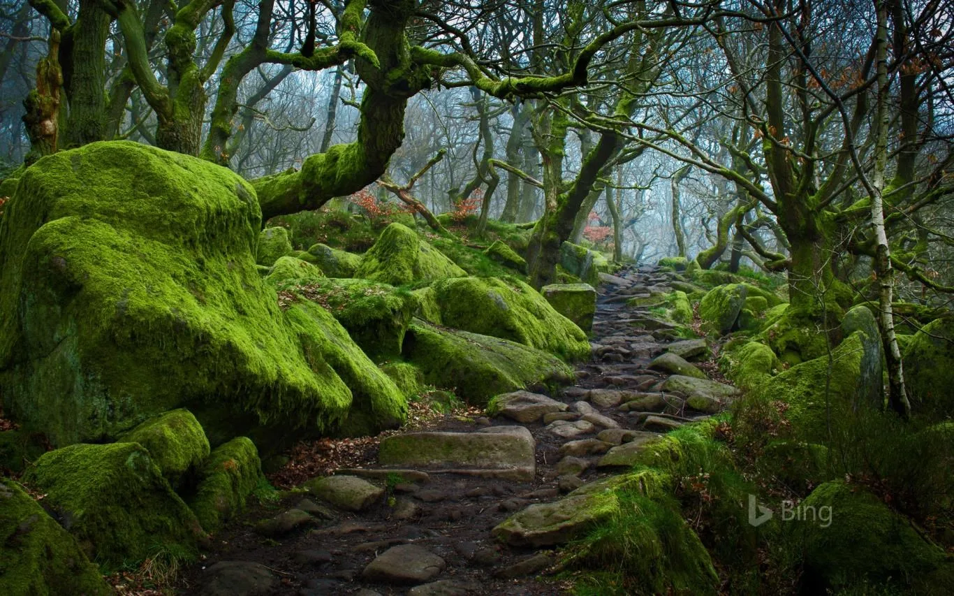 Bing Fan Favorites - Landscapes screenshot 3
