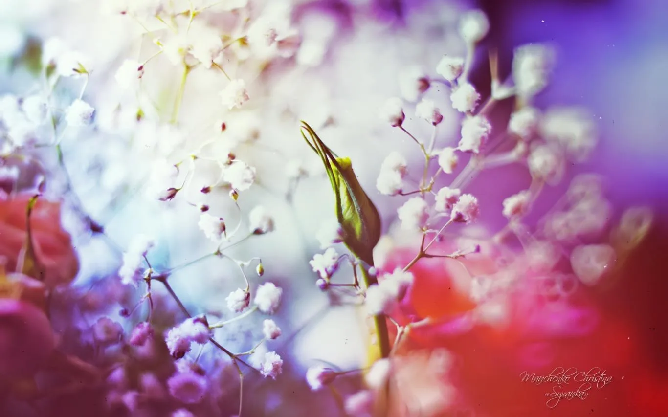 Dreamgarden by Christina Manchenko screenshot 1