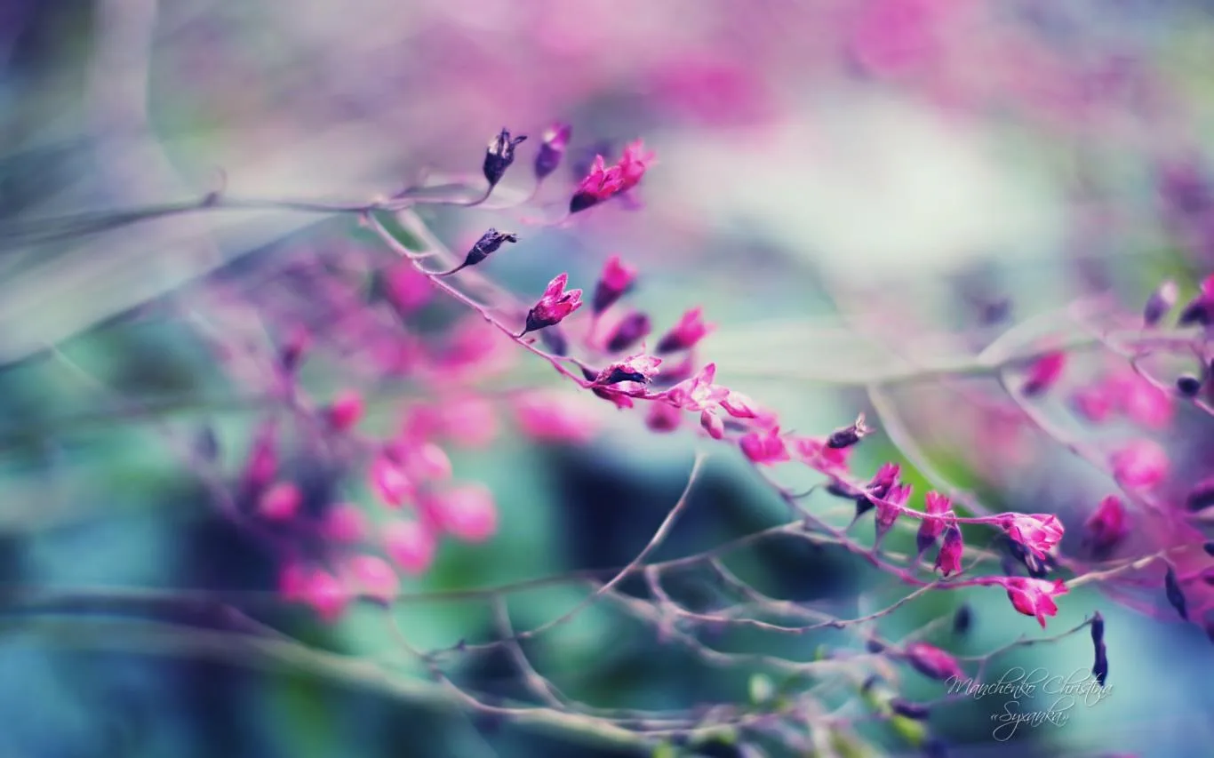 Dreamgarden by Christina Manchenko screenshot 4