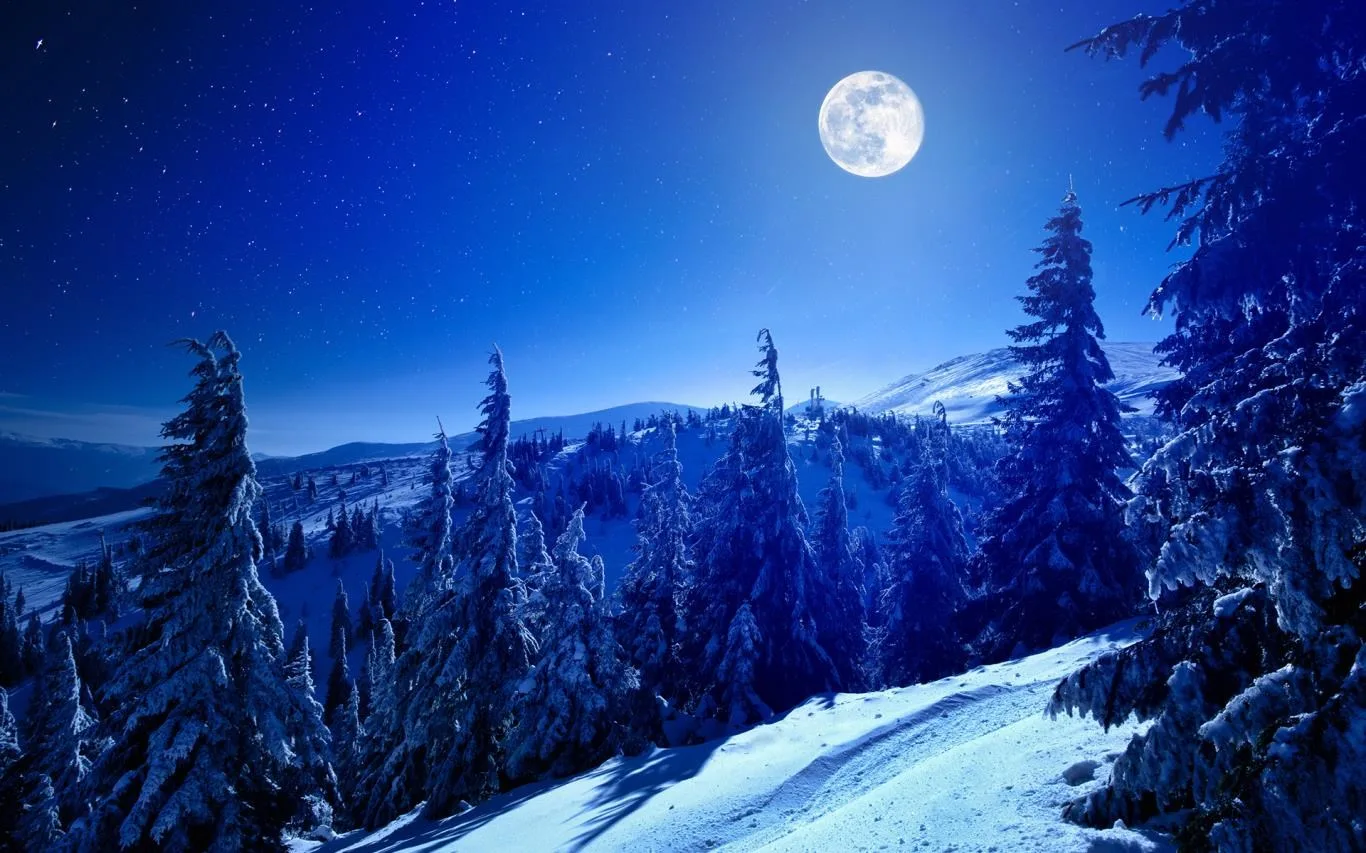 Snowy Mountains screenshot 1