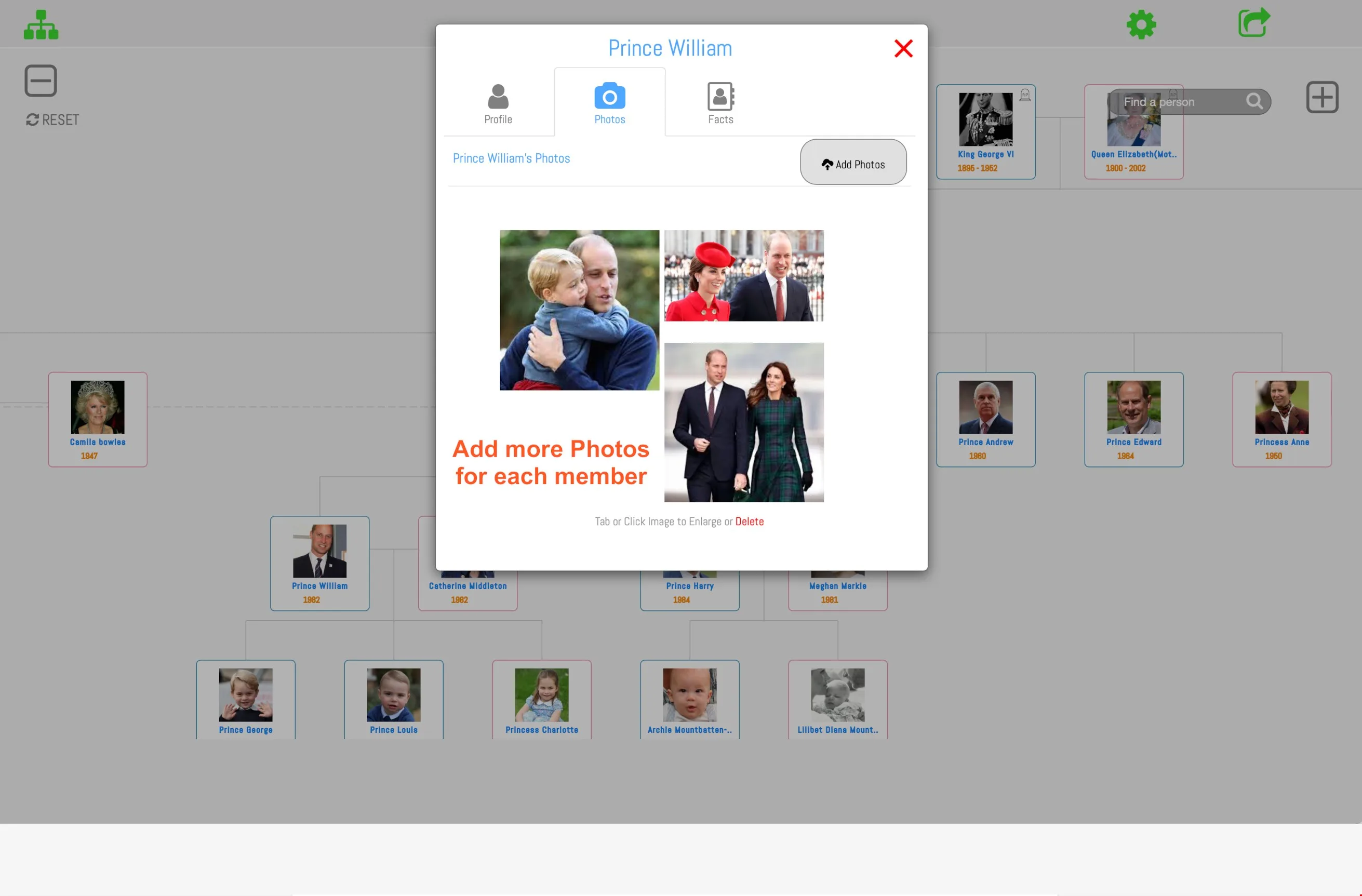 Family Tree Builder Pro screenshot 5