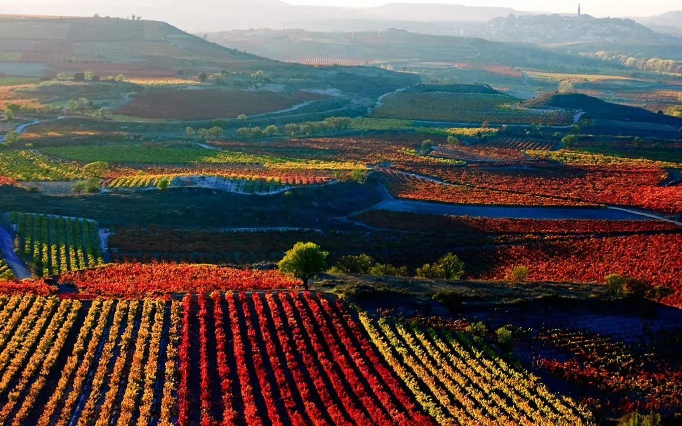 Touring Spain screenshot 2