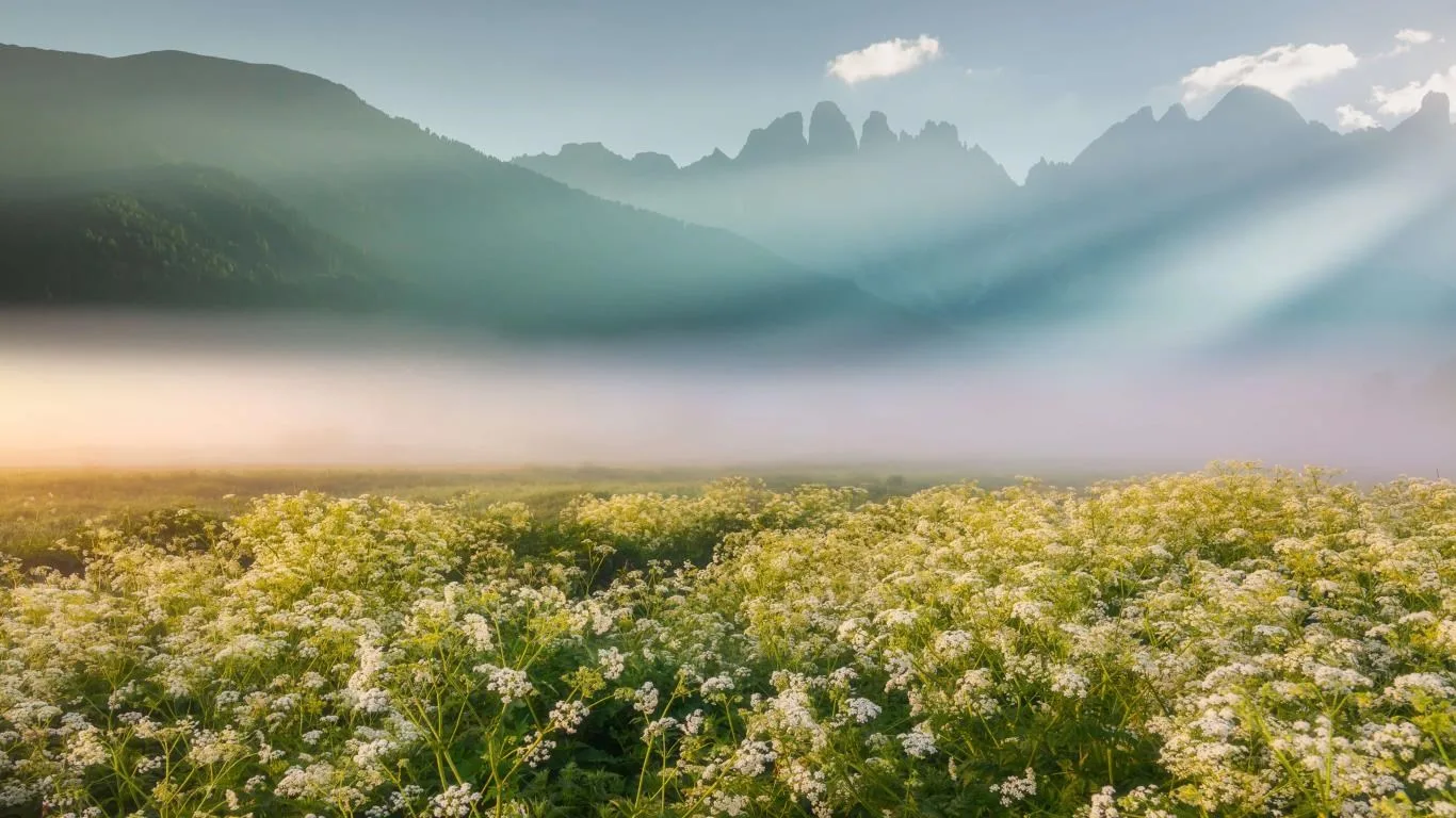 Mountain Light screenshot 3