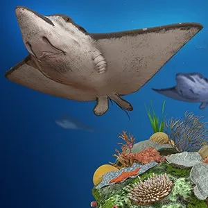 Remix 3D Ocean Life
