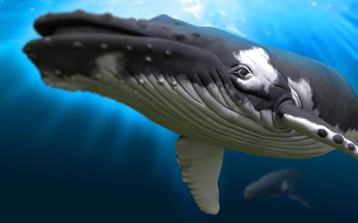 Remix 3D Ocean Life screenshot 1