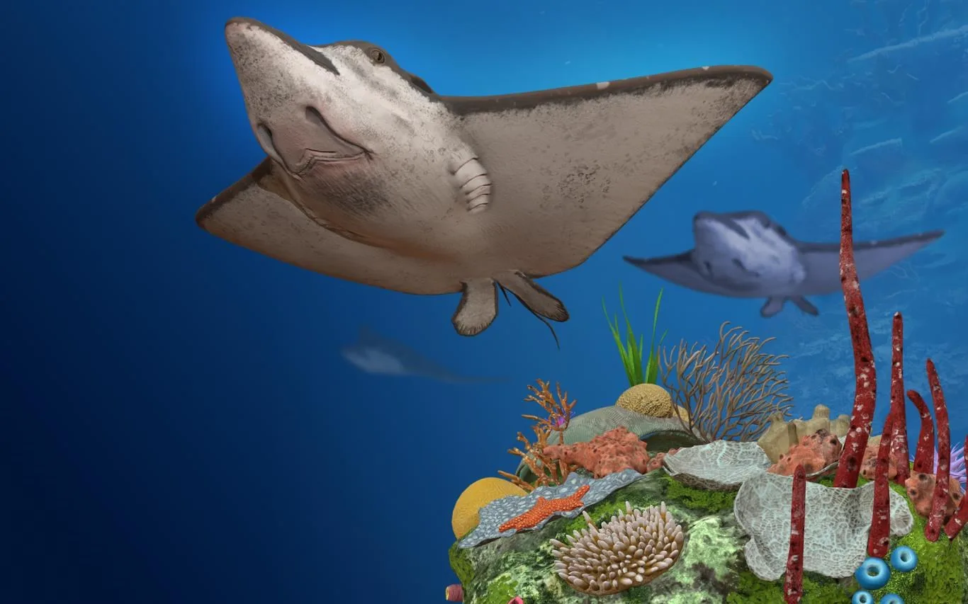 Remix 3D Ocean Life screenshot 3