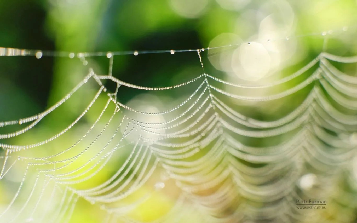 Green World by Piotr Furman screenshot 1