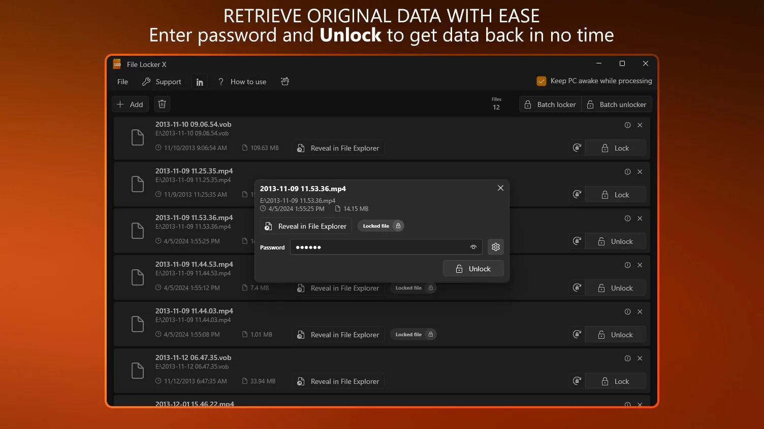 File Locker X - Password Protect Files screenshot 3