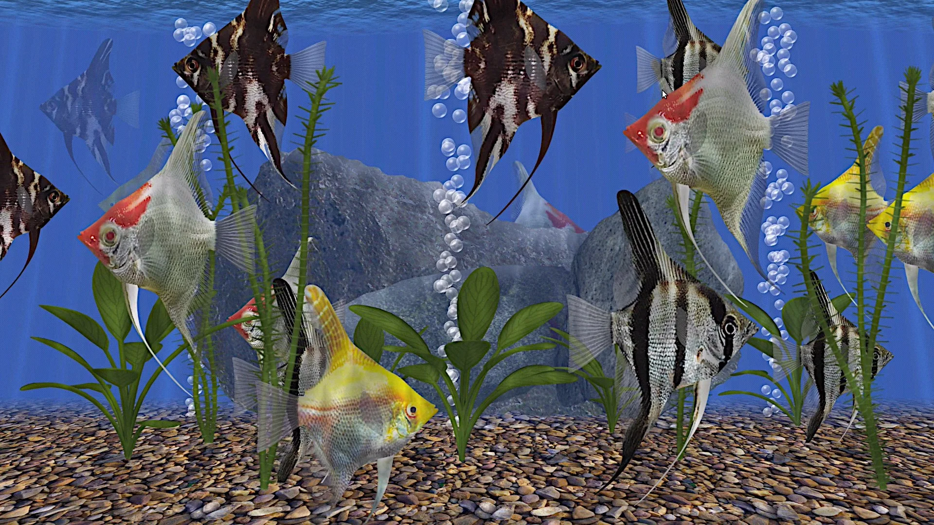 AngelFish Aquarium - Virtual Fish Tank screenshot 2