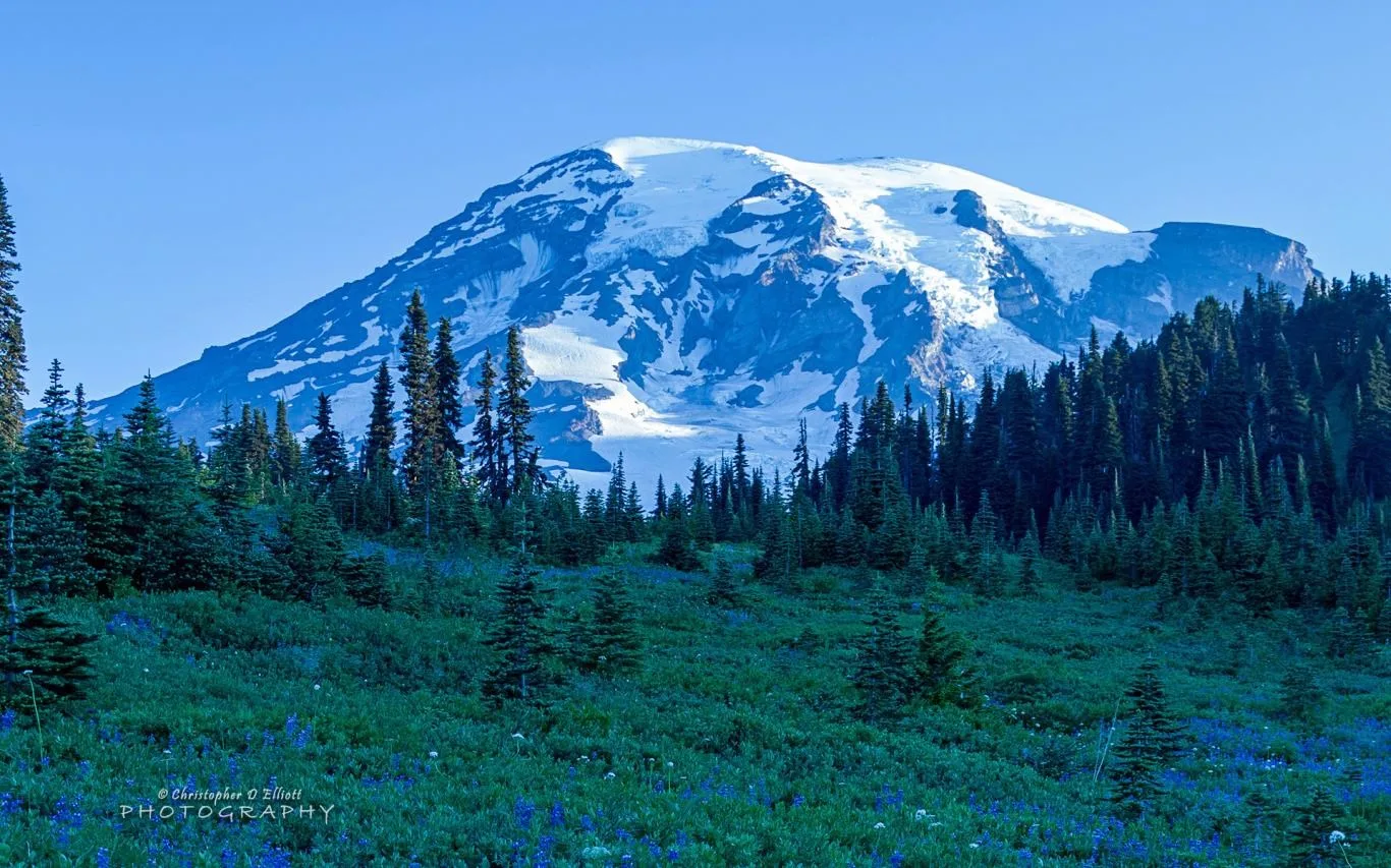 Mount Rainier by Christopher D Elliott screenshot 2