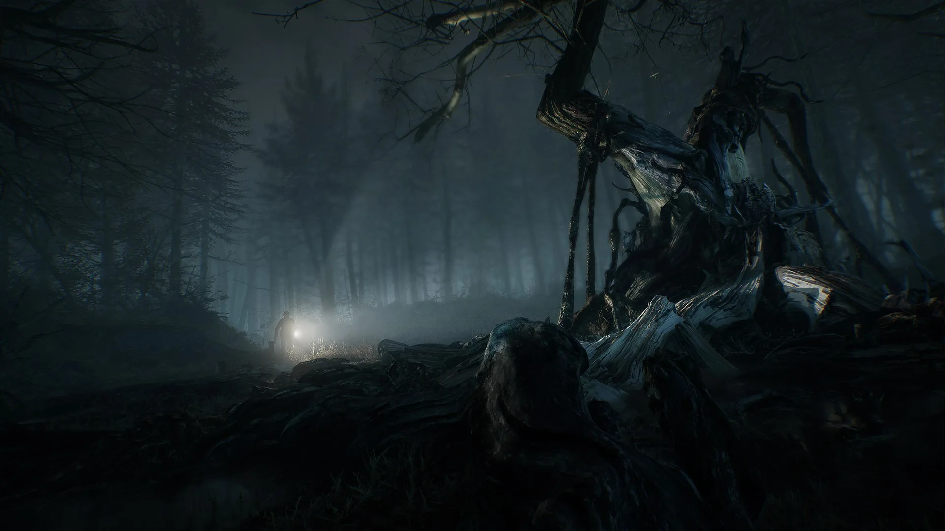 Blair Witch screenshot 1