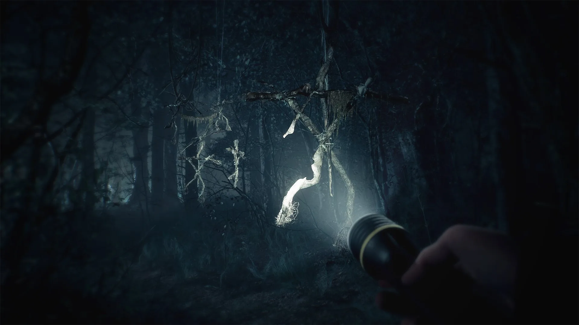 Blair Witch screenshot 5