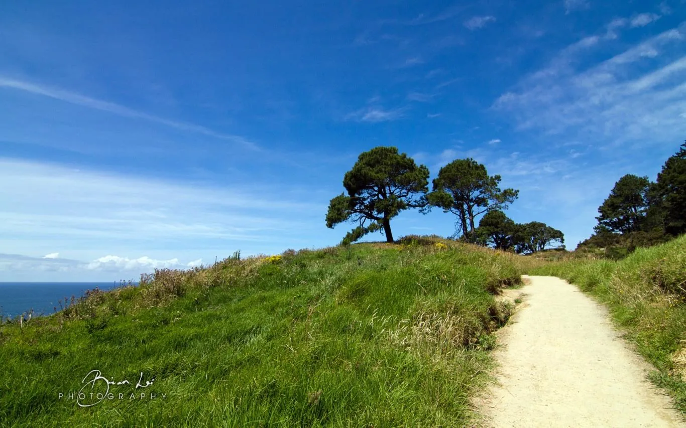 North Island NZ by Brian Lai screenshot 1