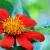 Austin Botanical Garden by Amy Alderman