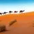 In the Desert