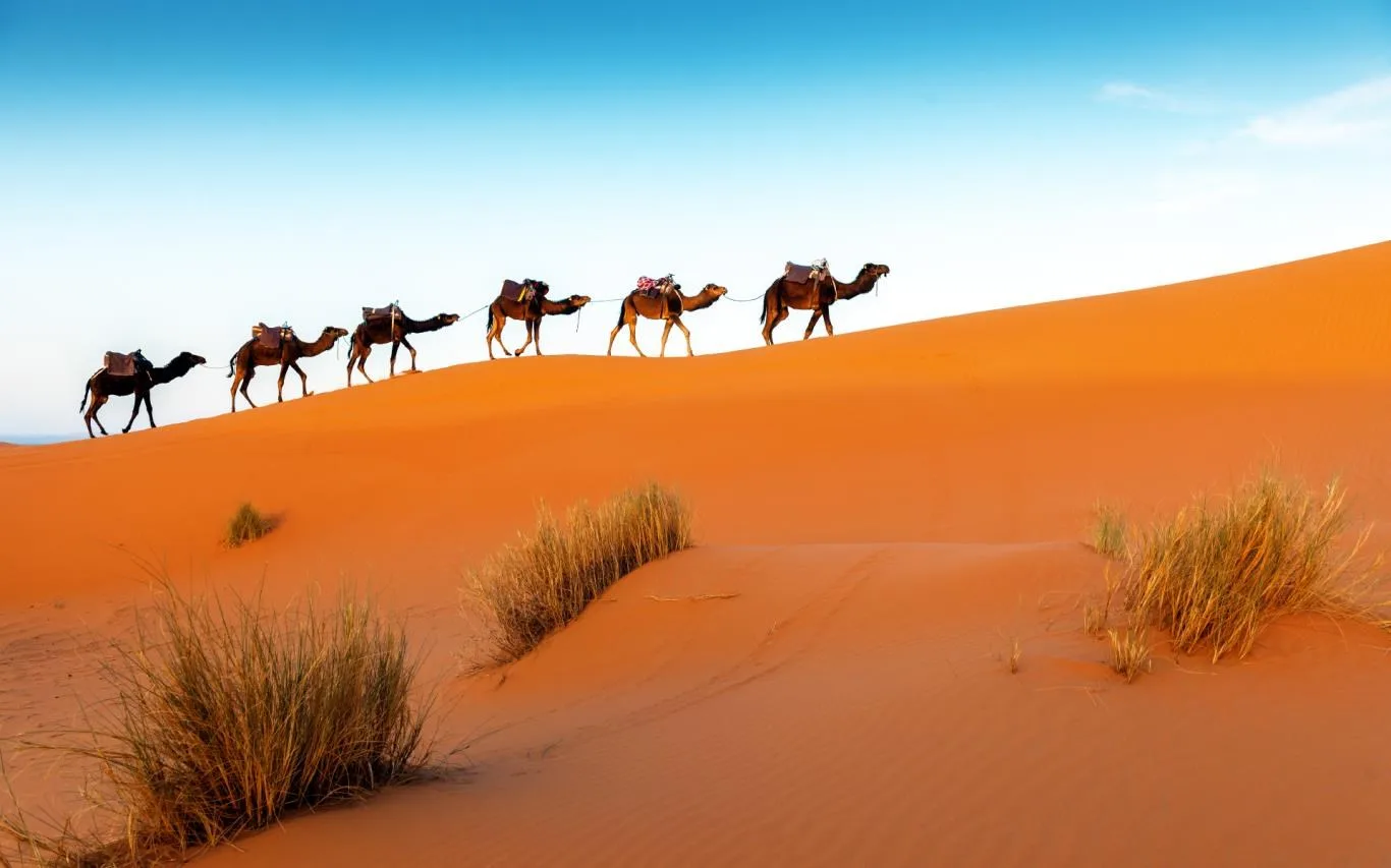In the Desert screenshot 2