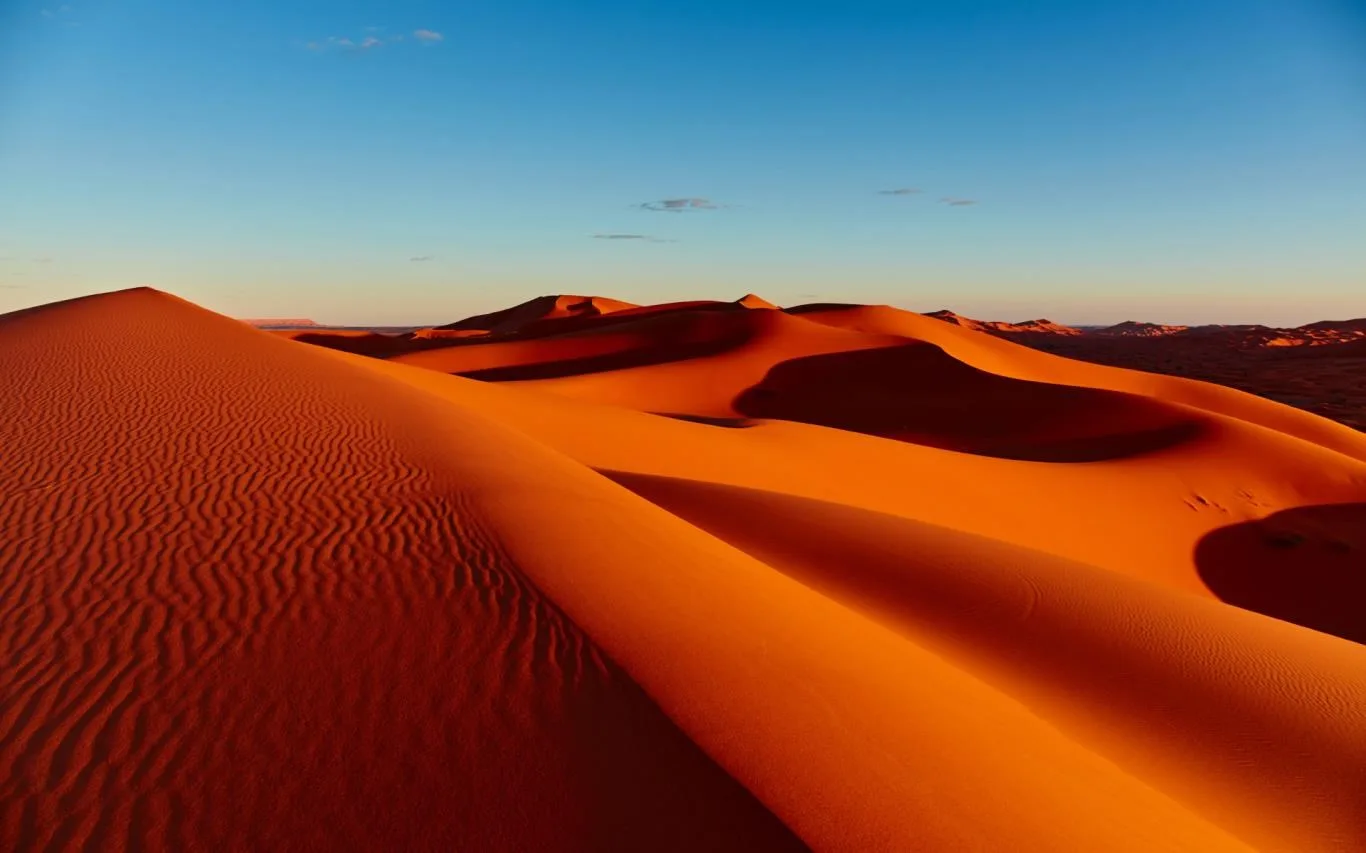 In the Desert screenshot 4