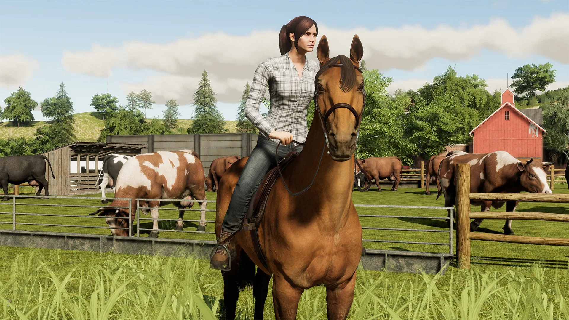 Farming Simulator 19 - Premium Edition (Windows 10) screenshot 5