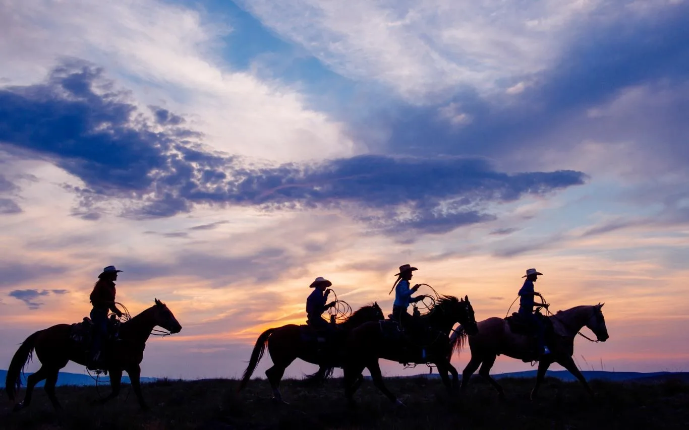 Ranch Hands screenshot 1
