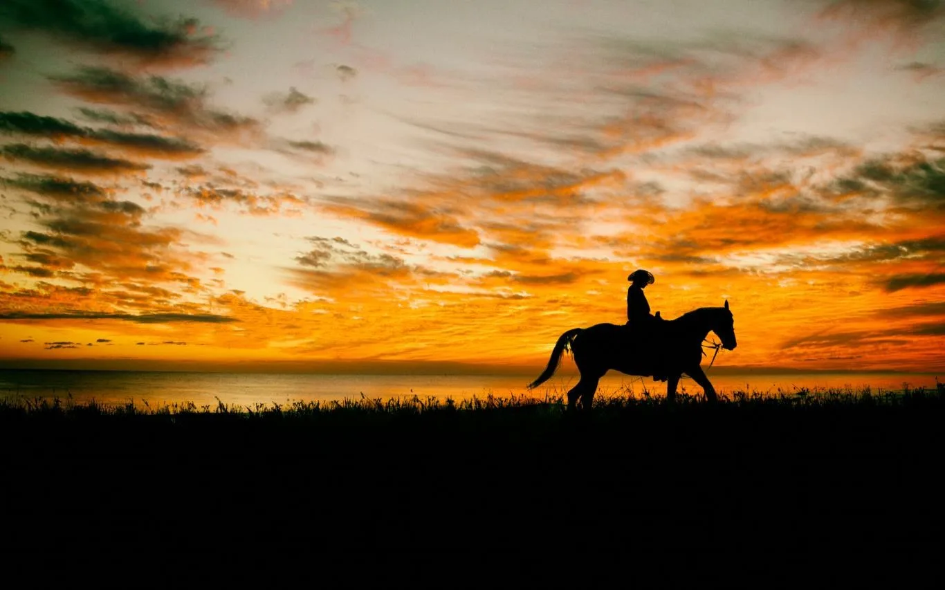 Ranch Hands screenshot 2