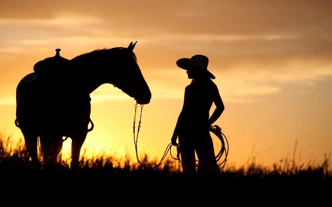 Ranch Hands screenshot 3