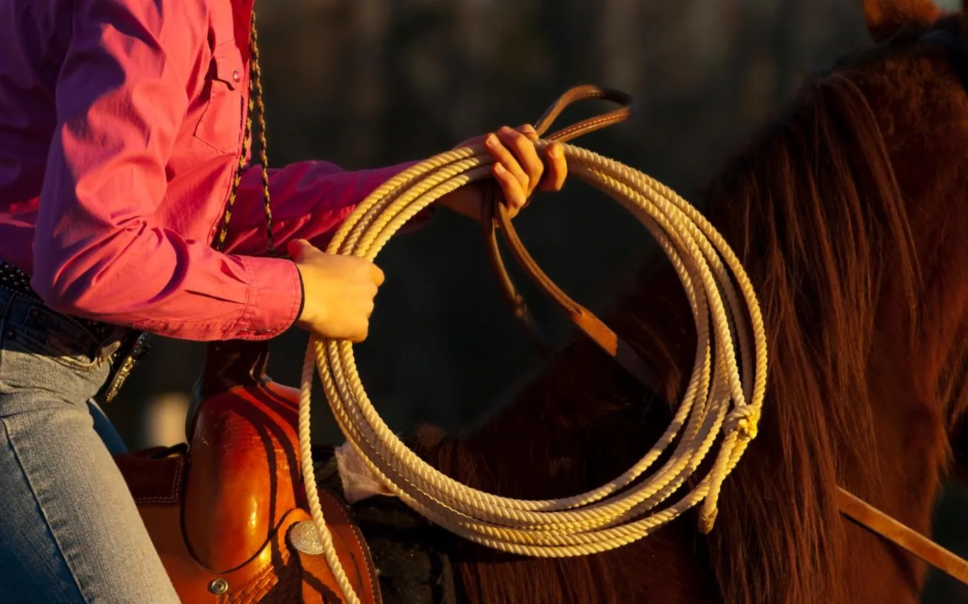 Ranch Hands screenshot 4